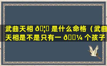 武曲天相 🦅 是什么命格（武曲天相是不是只有一 🌼 个孩子）